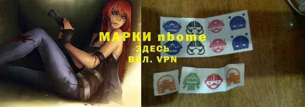 твердый Новозыбков