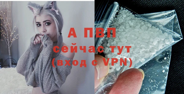 твердый Новозыбков