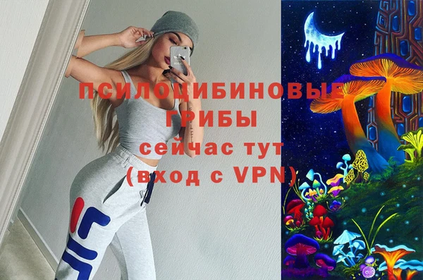 амфетамин Новодвинск