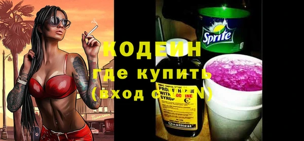 твердый Новозыбков